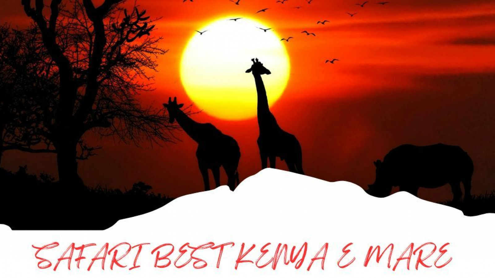 2025 africa best kenia e mare 25 IN22