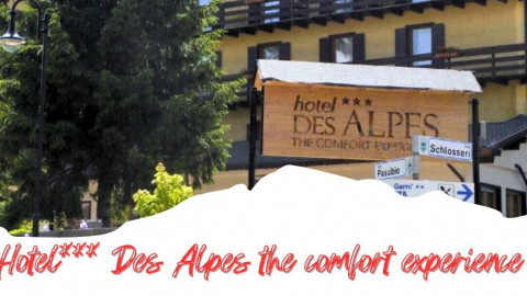 2025 trentino estate des alpes IN22