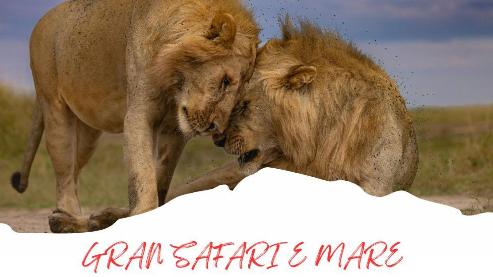 2025 africa gran safari e mare 25 IN22