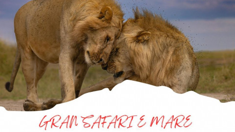 2025 africa gran safari e mare 25 IN22