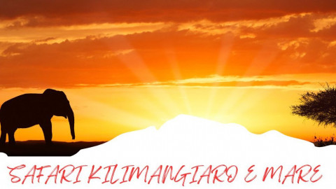 2025 africa kilimangiaro e mare 2025 IN22